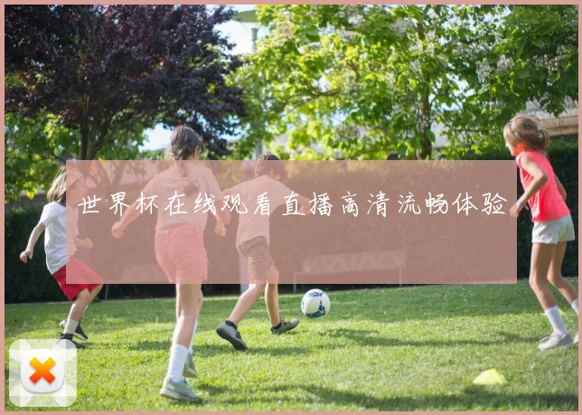 世界杯在线观看直播高清流畅体验