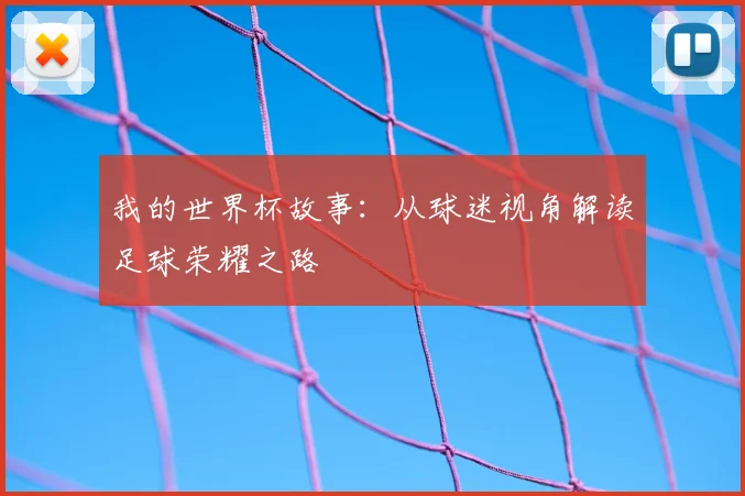 我的世界杯故事：从球迷视角解读足球荣耀之路