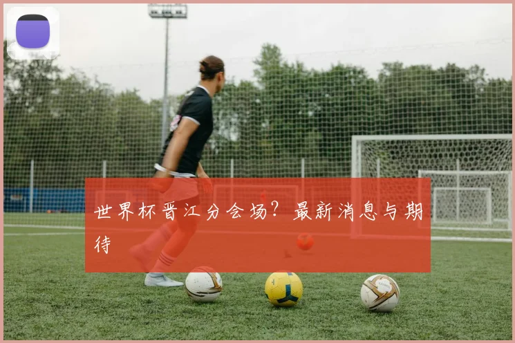 世界杯晋江分会场？最新消息与期待